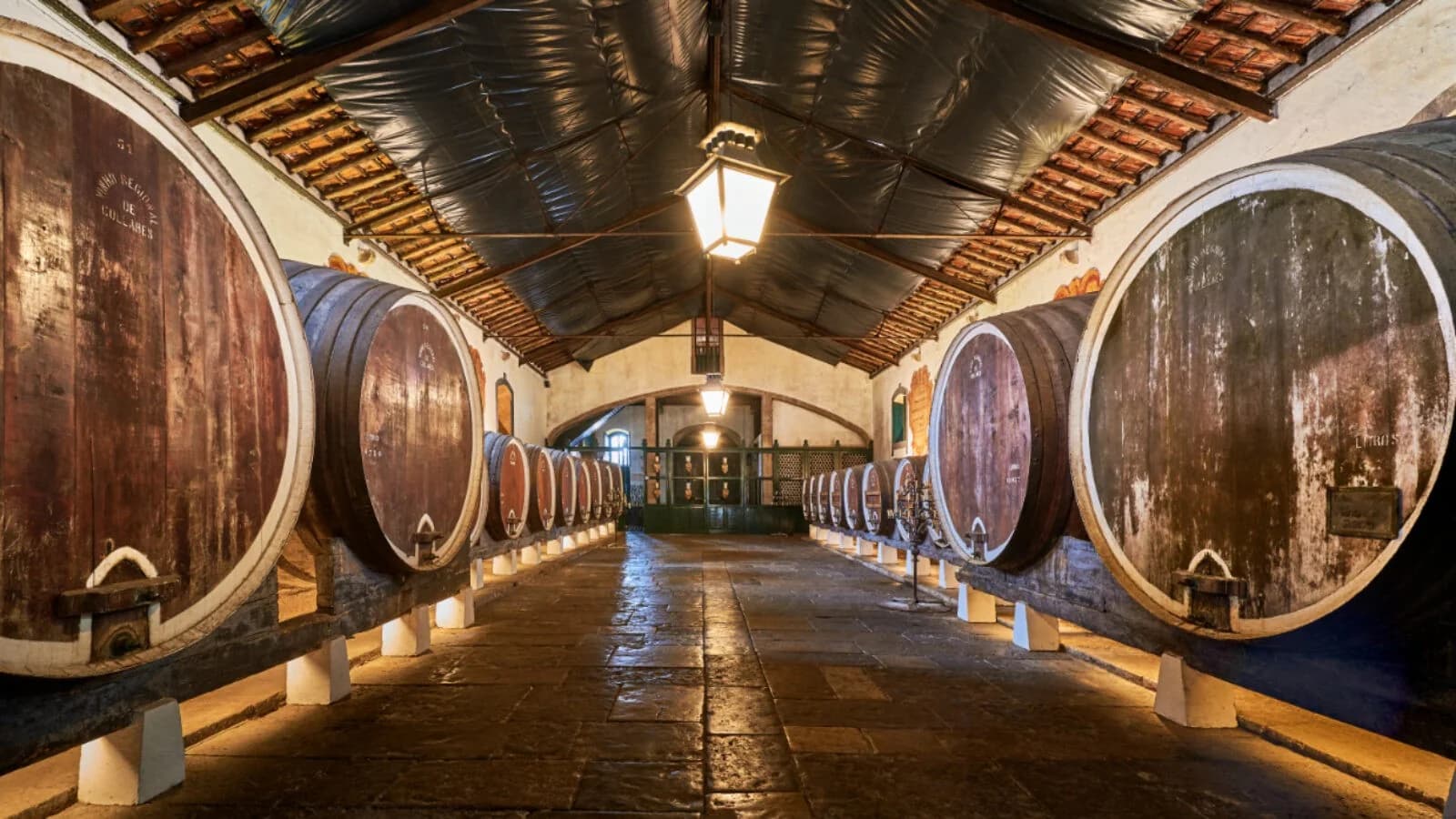 A long barrel hall at Adega Regional de Colares, with great wooden casks beneath lamps and a pitched roof.