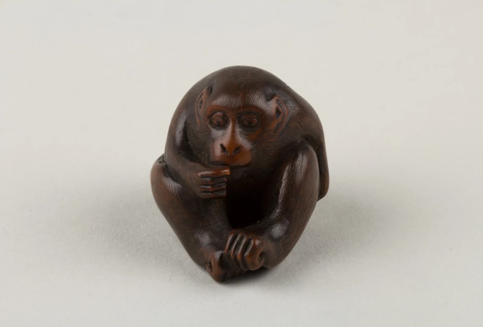 Masakazu’s small carved wooden netsuke of a seated monkey, seen from above against a neutral museum photography background.