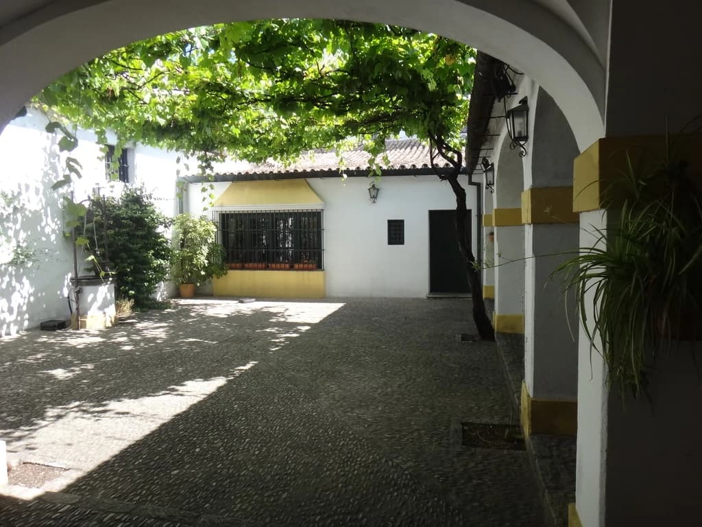 A sunlit courtyard at Bodegas Tradición in Jerez, seen through an arch beneath green vine leaves.