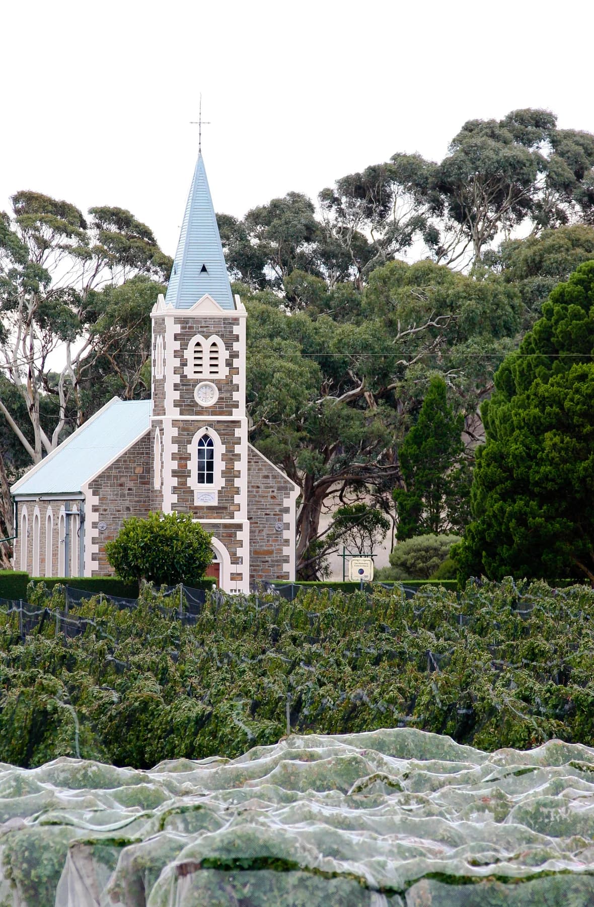 Gnadenberg Church rising behind rows of vines and pale protective netting at the Hill of Grace vineyard in Eden Valley.