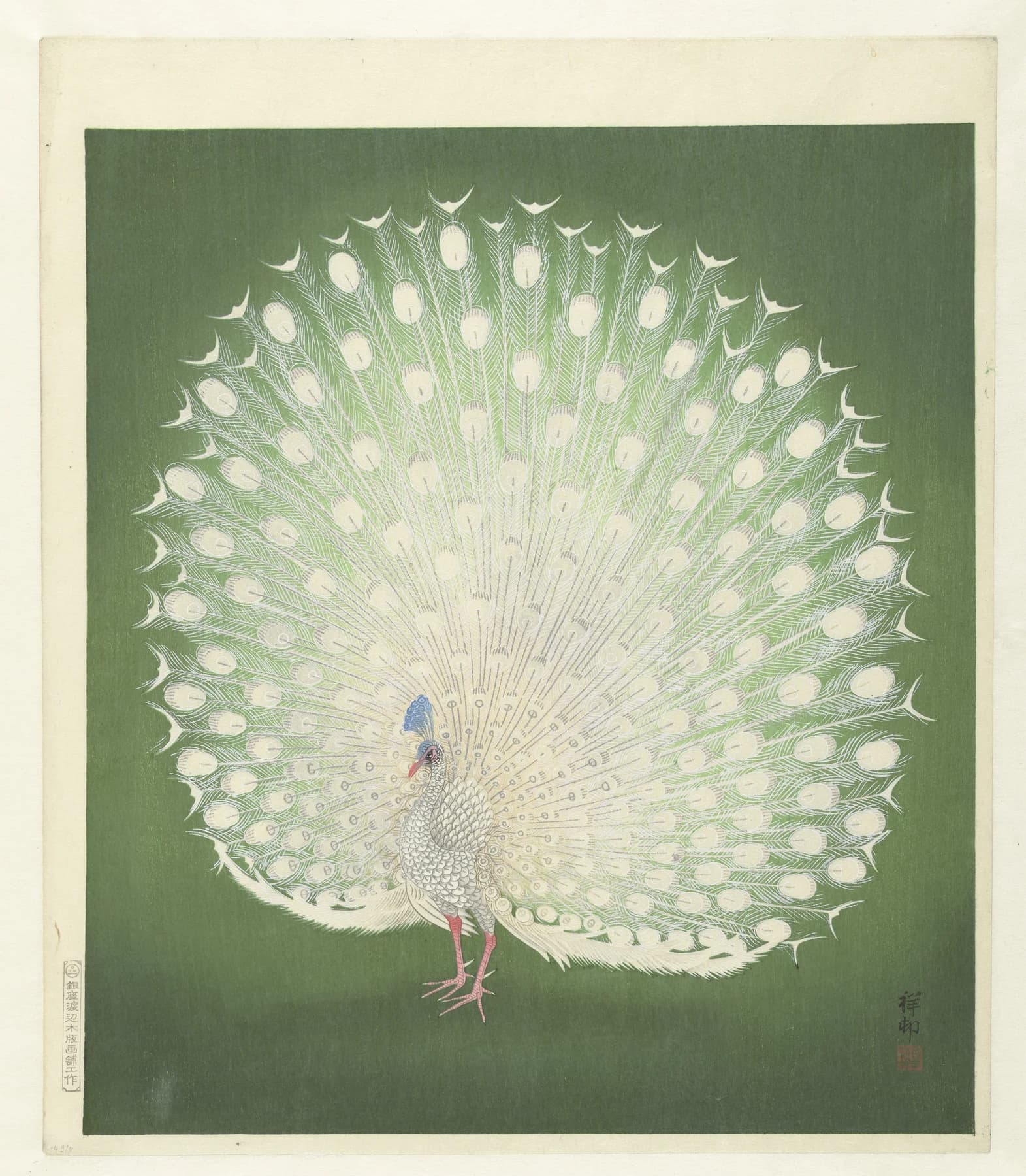 A pale peacock with a fully spread tail against a muted green background, in a Japanese colour woodblock print by Ohara Koson.