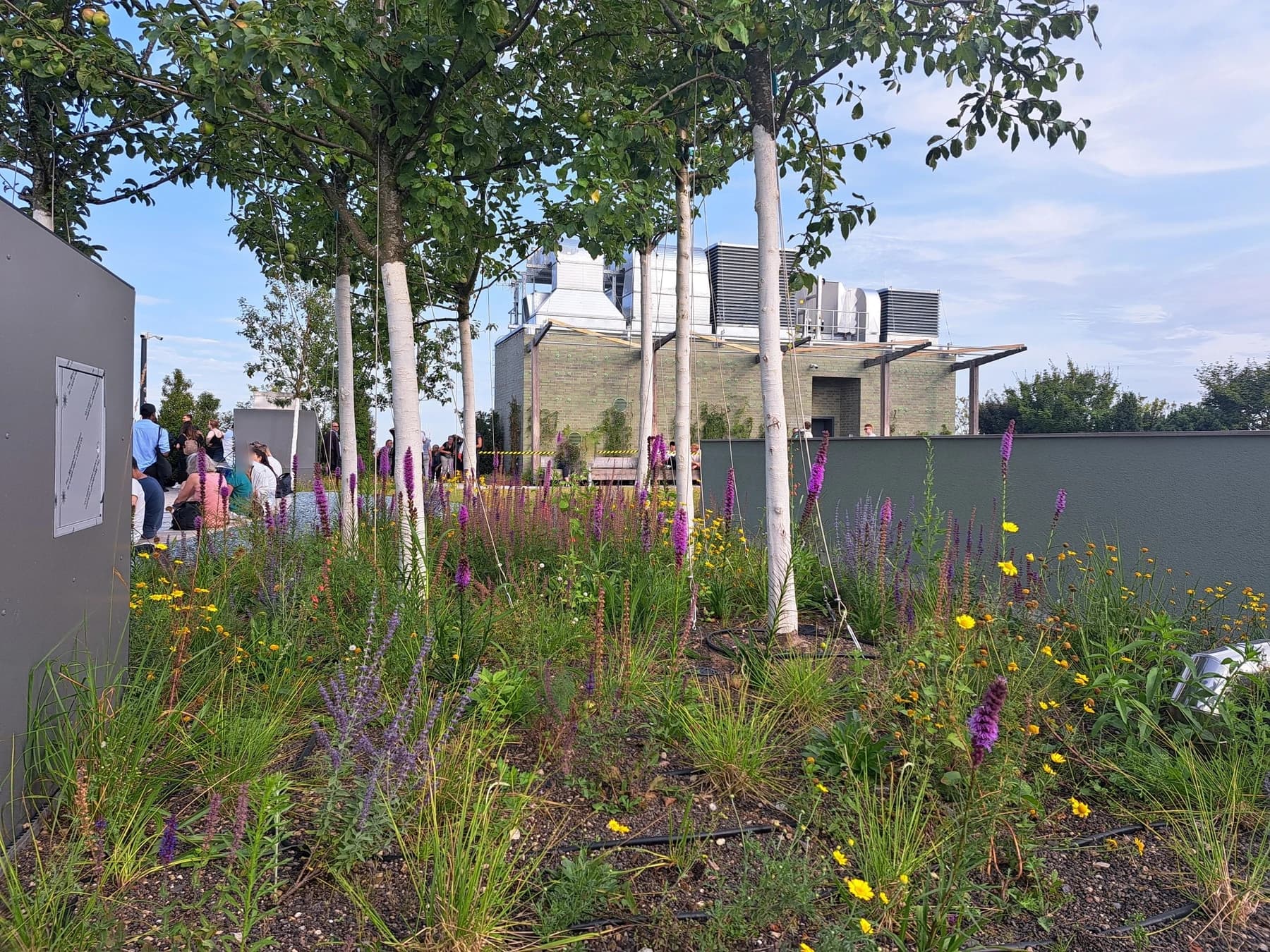 Trees, flowering planting and visitors on the completed Hamburg St. Pauli bunker roof terrace beneath a blue sky, with parts of the upper concrete structure visible.