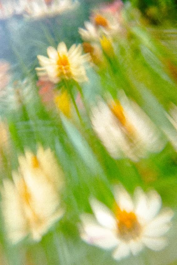 Flowers transformed into streaks of yellow, white and green in Kensaku Kakimoto’s Hikari photograph made through glass by Ritsue Mishima.