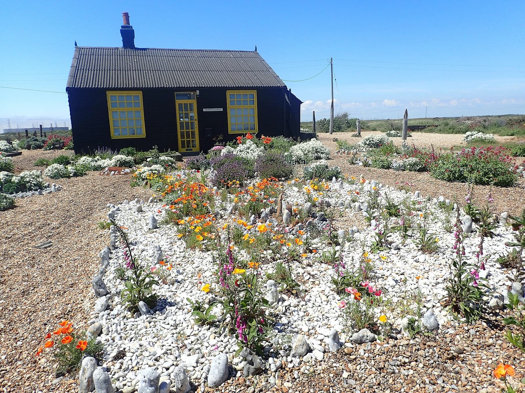 Derek Jarman’s black timber Prospect Cottage with yellow window frames behind a shingle garden containing flowers, stones and sculptural found materials.