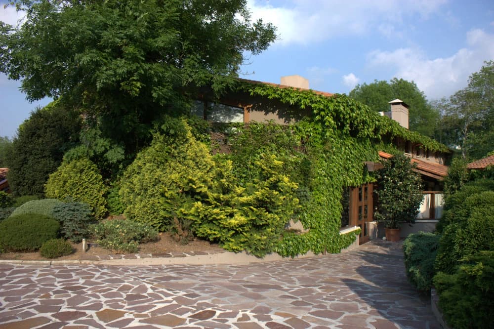 The leafy entrance to Mugaritz, with a stone path leading between trees and planting towards the restaurant building on a bright day.