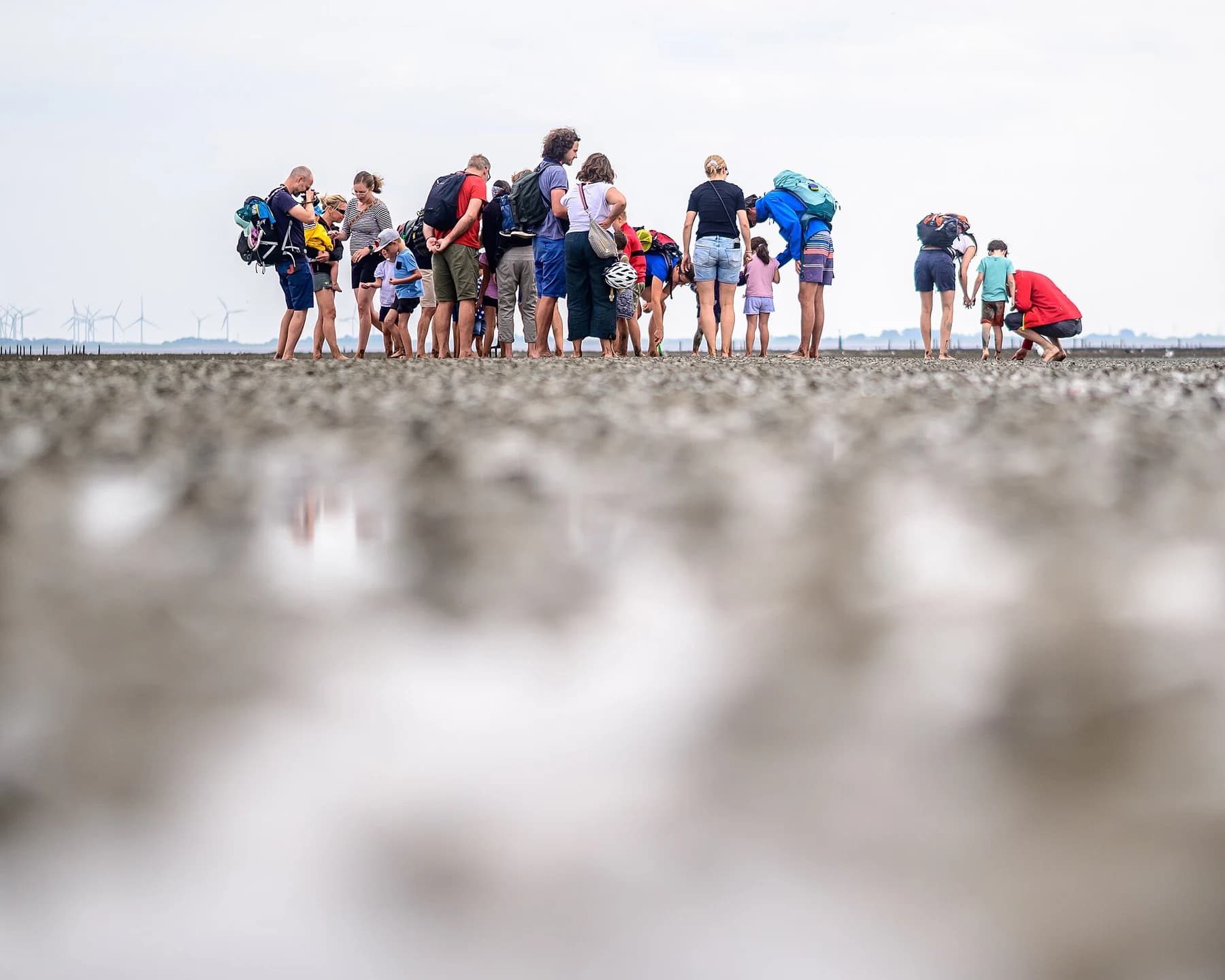 A group gathered on Norderney’s tidal flats, photographed from low across the textured ground as participants look down at the surface.