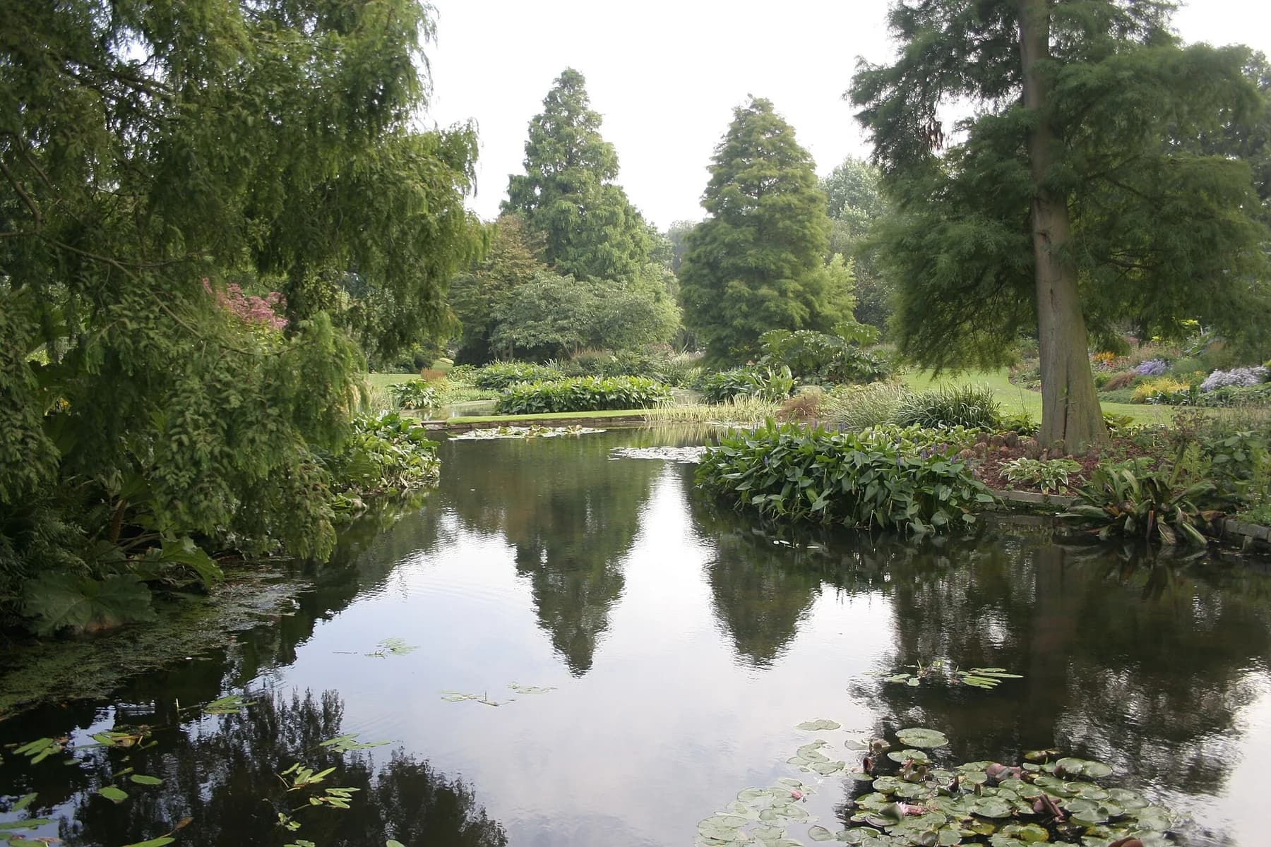 Mature trees and moisture-loving plants reflected in a pond at Beth Chatto’s gardens, with green lawns and planted banks.