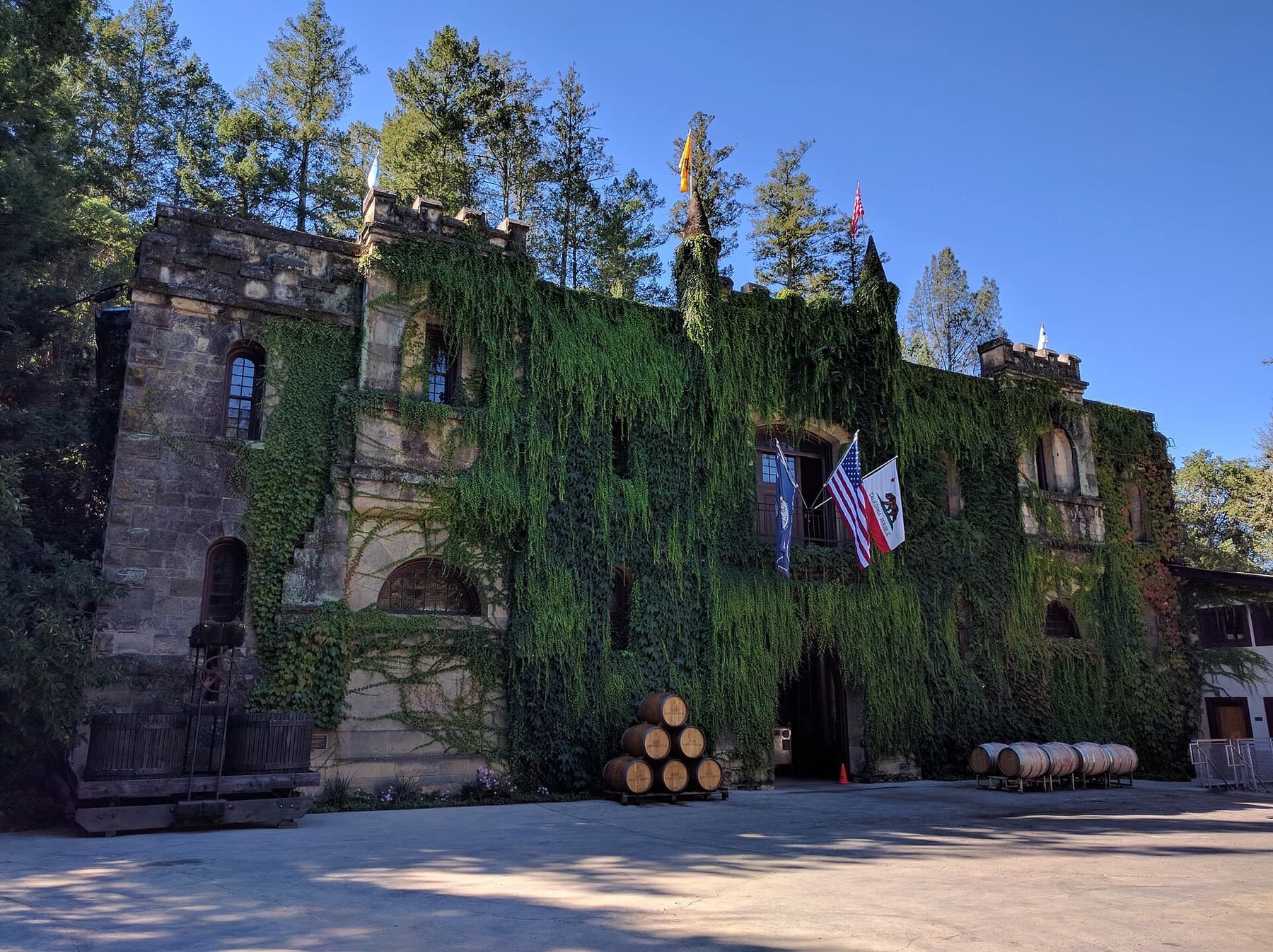 Chateau Montelena’s ivy-covered stone winery in Calistoga beneath a clear blue sky, with tall trees framing the building.