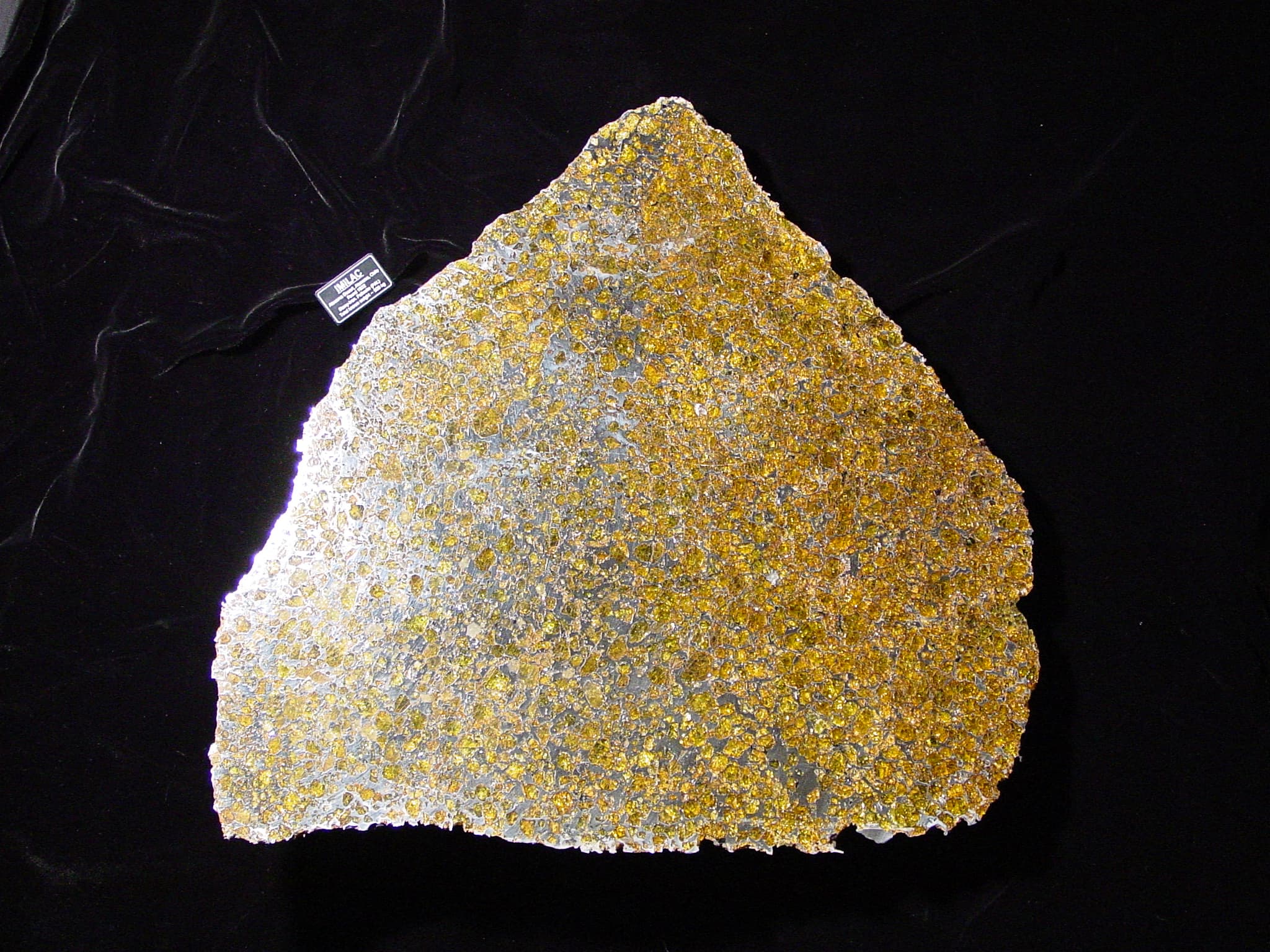 Golden olivine crystals within the silvery metal of an Imilac meteorite slice.